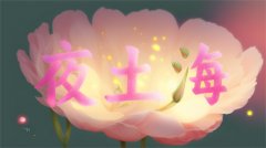 夜上海夜上海社区